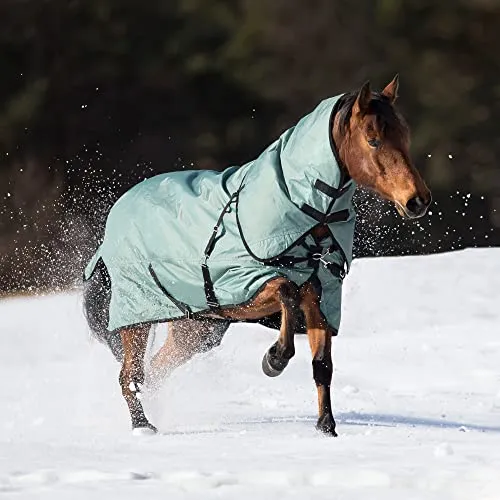 Outdoordecke FLEXIBLE PRO 250