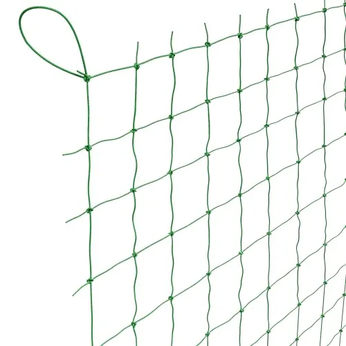 GardenGloss® Ranknetz mit großer Maschenweite für besonders ertragreiche Ernte von Gurken, Tomaten und Anderen Gemüsepflanzen - Rankhilfen für Kletterpflanzen (2m x 2.5m)
