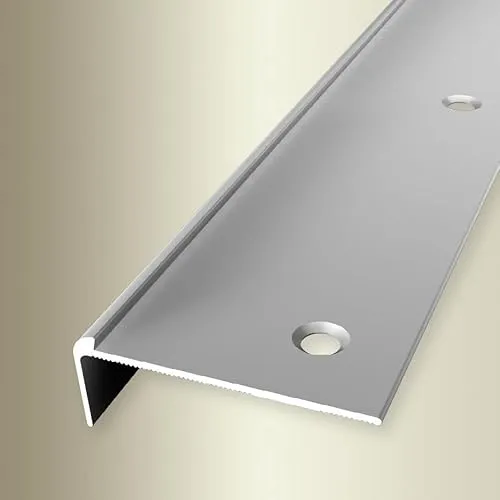 PROVISTON | Treppenkantenprofil | Breite: 48 mm | Höhe: 2.5 mm | Länge: 1000 mm | Aluminium eloxiert | Silber | Versenkt Gebohrt