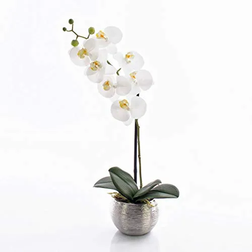 artplants.de Künstliche Phalaenopsis Orchidee Emilia, weiß, im Topf, 50cm - Kunstblume getopft