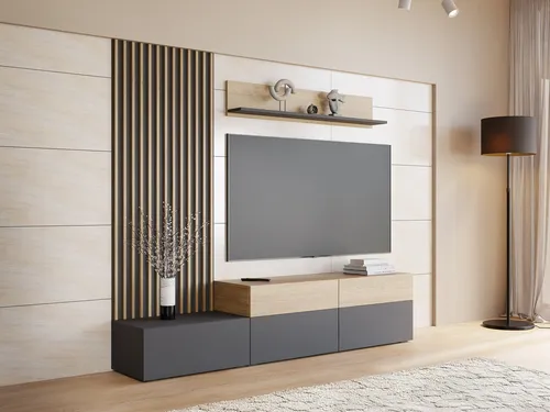 MIRJAN24 Wohnwand Narezi I - Modernes TV-Lowboard mit Wandpaneel - Elegante Wohnwand Narezi I in Graphit und Eiche Cremona. Mit Push-to-Open-Funktion, viel Stauraum und schneller Lieferung innerhalb von 5 Tagen. Perfekt für Ihr Wohnzimmer!