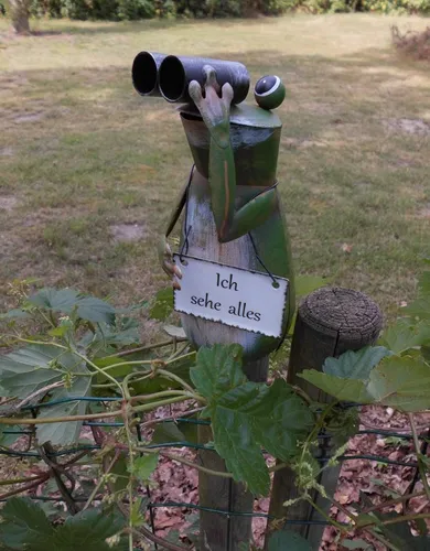 Zaunfigur Zaunhocker witziger Gartendekoration Frosch m. Fernglas Ich sehe alles