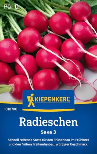 Kiepenkerl Radieschensamen Saxa 3 1010700 - schnell- reifend - Frühanbau - würziger Geschmack - Frühbeet und Freiland - Saatgut, Samen Gemüse, Gemüsepflanzen