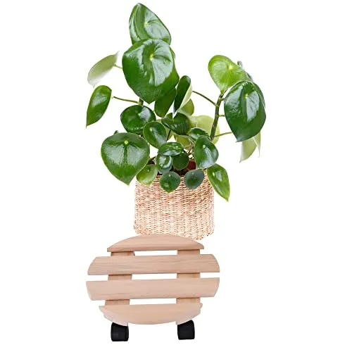 Raburg Pflanzenroller BENJO, Buchenholz massiv, rund, 30 cm Durchmesser, Tragfähigkeit 120 kg, stabiler & praktischer Rolluntersetzer für Pflanzen, Kübel & Blumentöpfe, 4x 360° Doppel-Kunststoffrollen