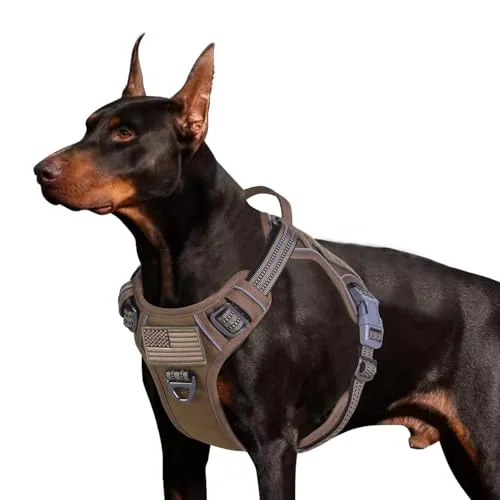BUMBIN Taktisches Hundegeschirr für große, mittelgroße und kleine Hunde, kein Ziehen an der Vorderleine, passt intelligentes reflektierendes Haustier-Geschirr für das Training