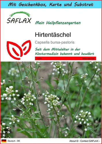 SAFLAX Blumensamen SAFLAX - Geschenkset - Hirtentäschel