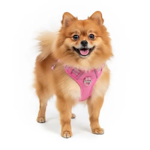 Reichstadt Pets Hundegeschirr – Verstellbares No-Pull Geschirr mit Griff & Reflektoren | Atmungsaktiv, Gepolstert & Strapazierfähig | Sicherheitsgeschirr für Kleine Hunde 25RSP083 Pink S