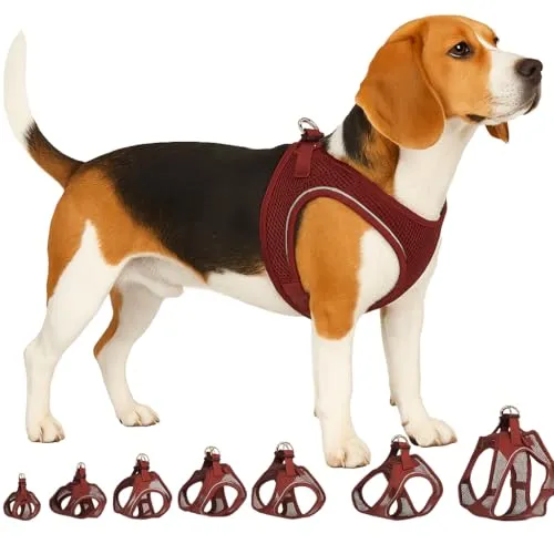 Hundegeschirr - hundegeschirr mittelgroße Hunde - L - Flamingo Harness Step&Go Bento Aubergine