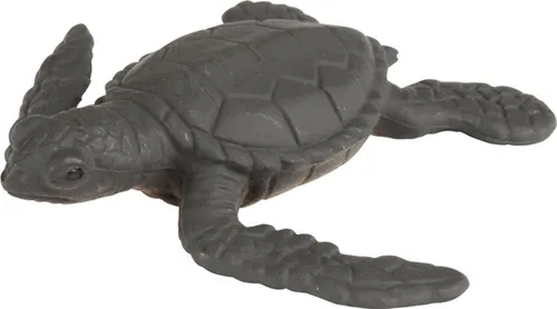 EDUPLAY Experimentierkasten Lebenszyklen Meeresschildkröte