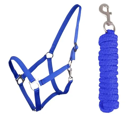 ARBO-INOX Halfter-Set Beginner - Halfter + Führstrick mit Karabinerhaken verstellbar (Shetty, Kobaltblau)