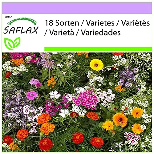 SAFLAX von Saflax