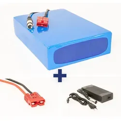 LERIAN POWER Lithium-Ionen Akku 36V 35Ah - Hochleistungsakku für E-Bike und Scooter - Hochleistungs Lithium-Ionen Akku 36V 35Ah mit 1260Wh, ideal für E-Bikes und Scooter. CE-zertifiziert, langlebig mit 800-1000 Ladezyklen, inkl. BMS für Sicherheit.