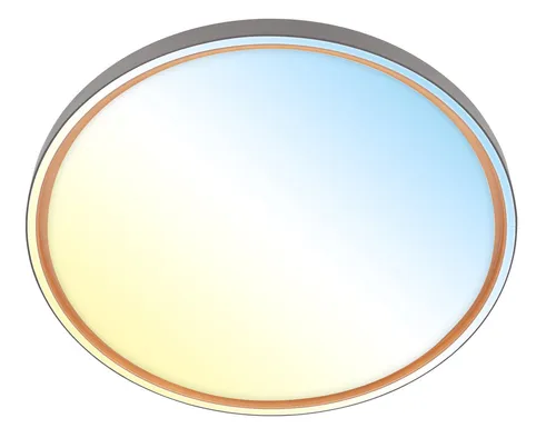 Dimmbar LED Deckenlampe 48W Ø49cm Anthrazit