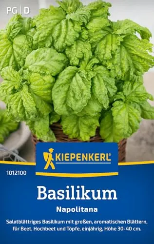 Kiepenkerl Basilikumsamen Napolitana 1012100 - Salatblättriges Basilikum - Höhe 30-40 cm - Inhalt für 120 Pflanzen - Kräutersamen, Samen Kräuter, Saatgut