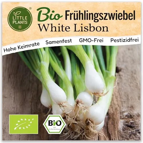 Saatgut von Little Plants