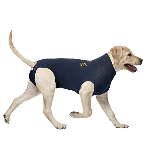 Produktbild MPS Medical Pet Shirt, Blau, für mittelgroße+ Hunde
