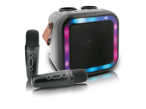 PEAQ PKM-100 Karaoke-Maschine – Schwarz