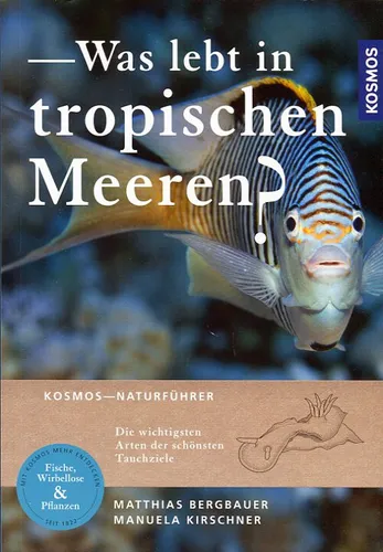 Was lebt in tropischen Meeren? Die wichtigsten Arten der schönsten Tauchziele