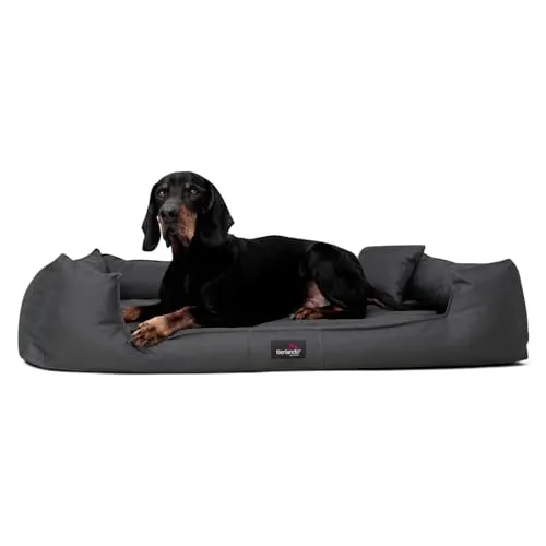 tierlando® Orthopädisches Hundebett GOOFY für große Hunde von tierlando