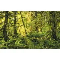 Komar Vliestapete Digitaldruck Vlies - Ancient World 400x250 cm - Fototapete in grün/rot mit beeindruckendem Naturmotiv, dimensionsstabil und leicht zu verarbeiten – ideal für Wohnzimmer und Schlafzimmer.