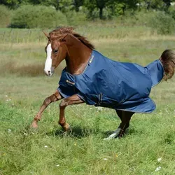 Bucas 155 Navy/Gold Outdoordecke 150g - Pferdedecken, hochwertige Turnout-Weidedecke mit 150g Füllung für optimalen Schutz und Komfort bei jedem Wetter.