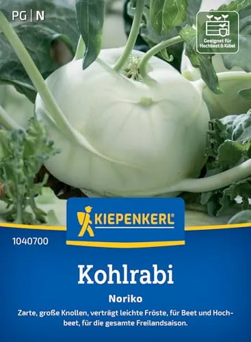 Kiepenkerl Kohlrabisamen Noriko 1040700 - zarte, große Knollen - verträgt leichte Fröste - Freilandsaison - Samen Gemüse, Saatgut, Gemüsepflanzen