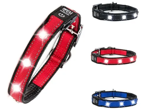 Petsation Hunde-Halsband Leuchthalsband für Hunde [Das Original] Leuchtendes LED Hundehalsband