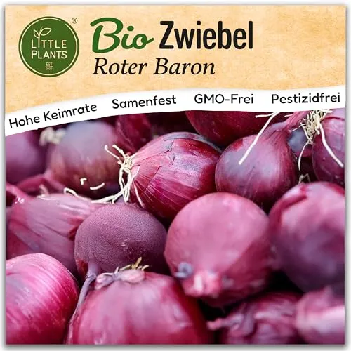 Little Plants BIO Zwiebel Samen 150 Zwiebelsamen Roter Baron Gemüsesamen Samenfest für Gemüsegarten Gemüse Samen Hochbeet Samen für Küche, Balkon und Garten