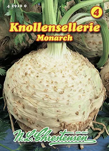 Knollensellerie Monarch GS (Portion)
