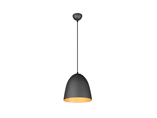 meineWunschleuchte LED Pendelleuchte Schwarz Gold Ø 25cm - Lampen für ein gemütliches Ambiente, inkl. dimmbarem E27 LED Leuchtmittel mit 806 Lumen, ideal für Esstische.