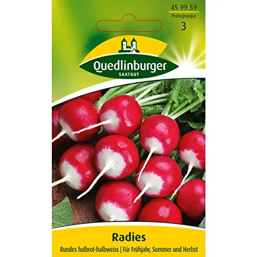 Radies, Rundes, halbrot-halbweiß von Quedlinburger
