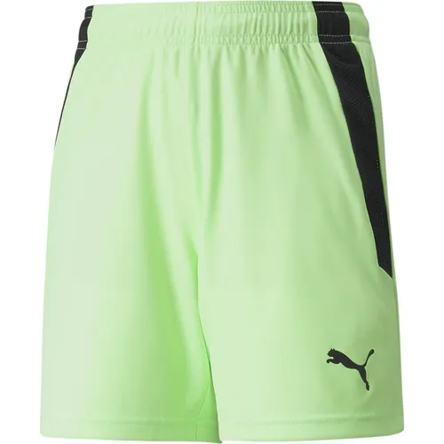 Puma teamLIGA Shorts Jr-704931 (140) (704931_04)