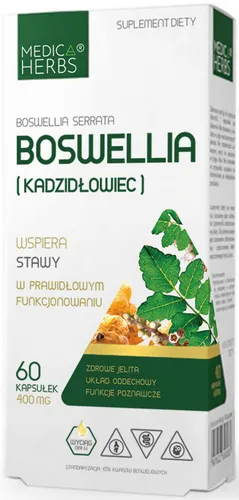 Medica Herbs Weihrauch Boswellia Serrata Extrakt 65% Boswellia-Säuren 60 Kapseln