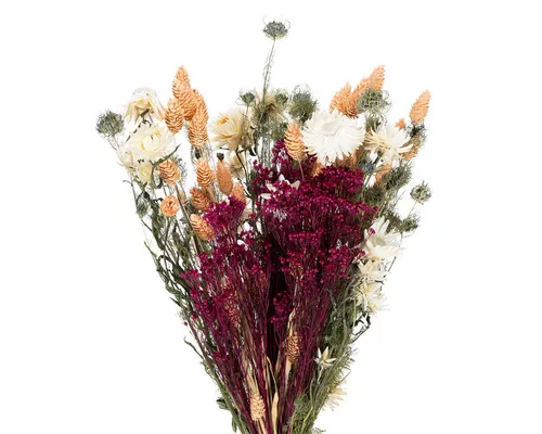 Trockenblume Eleganter Trockenblumenstrauß für zeitlose Dekoration und, Florists Products, Höhe 50 cm
