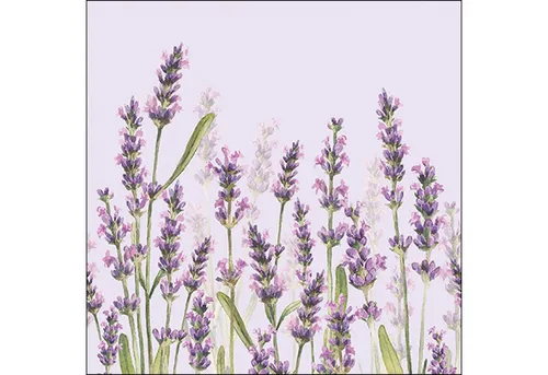 Ambiente Luxury Paper Products Papierserviette, Servietten Papier 33x33cm 3-lag mit Aquarell Lavendel Motiv 20 Stk