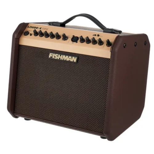 Fishman Loudbox Mini mit Bluetooth