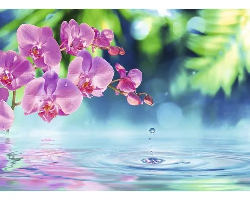 Fototapete Vlies 22659 Zen Orchid and Droplets - Hochwertige Vliestapete für stilvolle Räume, beeindruckendes Zen-Design mit Orchideen und Tropfen, ideal für eine entspannende Atmosphäre in jedem Raum.