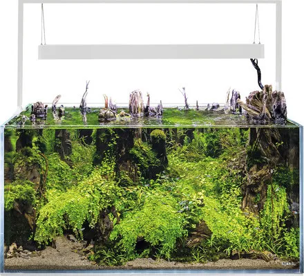 Aquarium AQUAEL UltraScape 90 mit LED Beleuchtung ca. 243 l OPTI-Glas, Weißglas, ohne Unterschrank snow