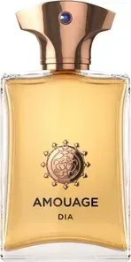 Produktbild Amouage Dia Eau De Parfum für Männer 100 ml