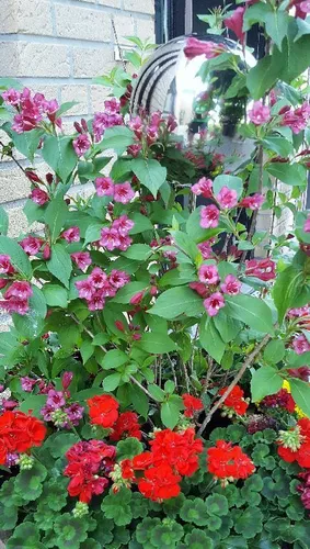 Rosenkugel 10 cm Edelstahl poliert Dekokugel Kugel mit Stab 80 cm