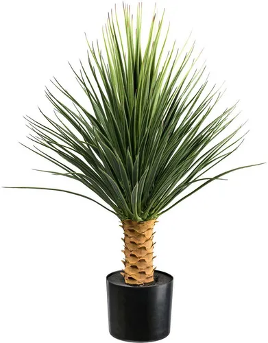 Kunstpflanze Yucca Rostrata auf Stamm - 85 cm - Künstliche Pflanzen, realistische Yucca Rostrata auf grauem Stamm, pflegeleicht und ideal für jeden Raum.