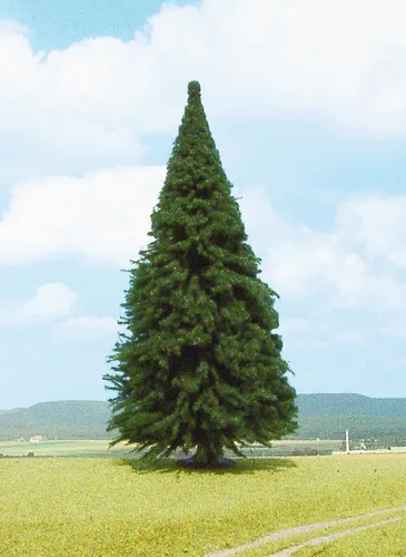 Heki Spur G/I 2342 Tanne 30cm von Heki