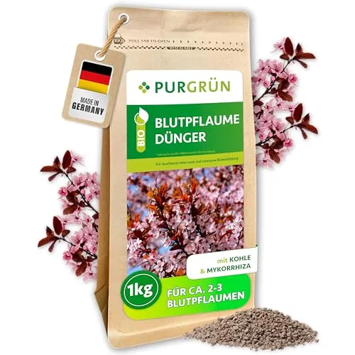 Purgrün Bio Blutpflaume Dünger 1 kg - Bio-Pflanzendünger für Blutpflaumen – Fördert leuchtend rotes Laub und intensive Blütenbildung mit sofortiger und langanhaltender Nährstoffversorgung.