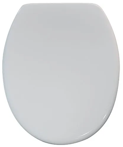 Sanitop-Wingenroth WC-Sitz