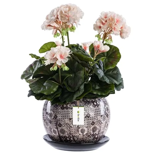 Blumentopf Rund Keramikkugel Ø10,5 cm H 9,5 cm L Braun Mosaik glanz mit Untersetzer Rund Blumenarrangements, einzigartige Musterdekoration, originelle Dekoration, Sukkulenten Geranien Grünpflanzen