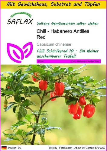 SAFLAX Gemüsesamen SAFLAX - Anzuchtset - Chili - Habanero Antilles Red