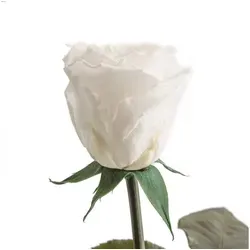 Kunstblumen von Rosemarie Schulz