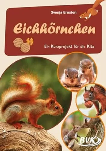 Eichhörnchen: Ein Kurzprojekt für die Kita (BVK-Kurzprojekte)