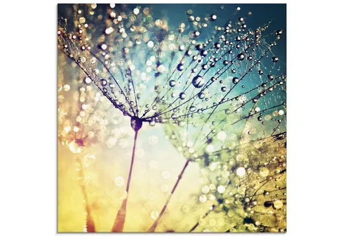 ARTLAND Wanddeko Glasbilder Wandbild Glas Bild einteilig Quadratisch Natur Zauber Idyll Mikro Makro Pusteblume Blumen Wasser Tropfen Tau S9MI