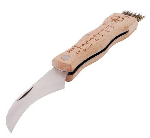 Pilzmesser mit Bürste